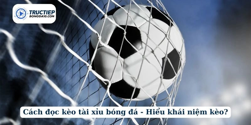 Cách đọc kèo tài xỉu bóng đá - Hiểu khái niệm kèo?