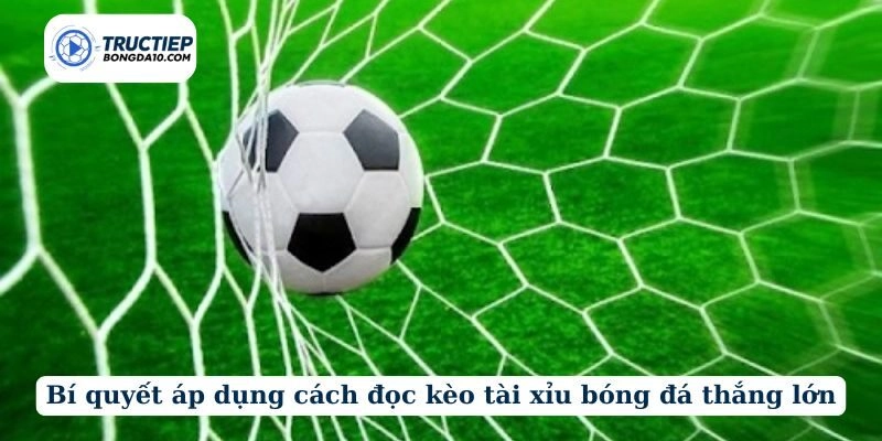 Bí quyết áp dụng cách đọc kèo tài xỉu bóng đá thắng lớn