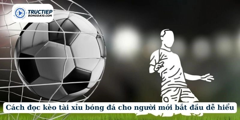 Cách đọc kèo tài xỉu bóng đá cho người mới bắt đầu dễ hiểu
