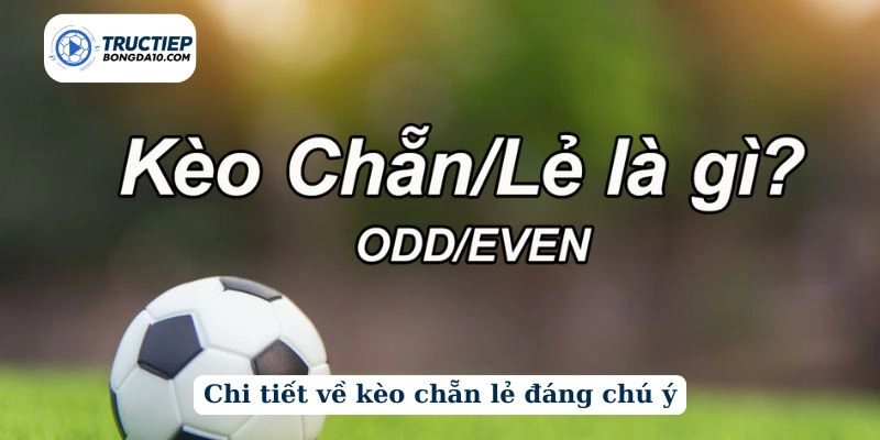 Chi tiết về kèo chẵn lẻ đáng chú ý