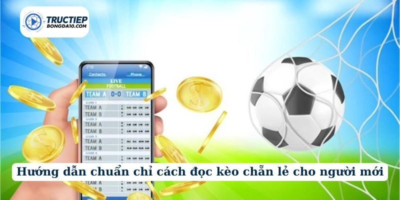 Hướng dẫn chuẩn chỉ cách đọc kèo chẵn lẻ cho người mới