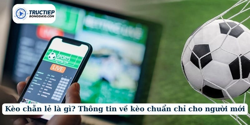 Kèo chẵn lẻ là gì? Thông tin về kèo chuẩn chỉ cho người mới