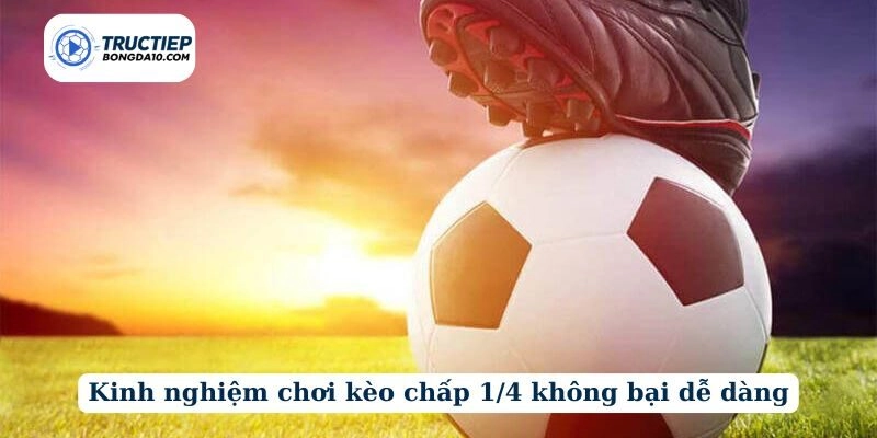 Kinh nghiệm chơi kèo chấp 1/4 không bại dễ dàng