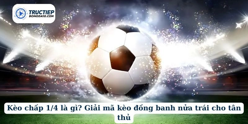 Kèo chấp 1/4 là gì? Giải mã kèo đồng banh nửa trái cho tân thủ