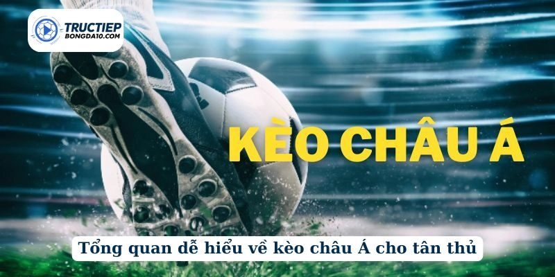 Tổng quan dễ hiểu về kèo châu Á cho tân thủ