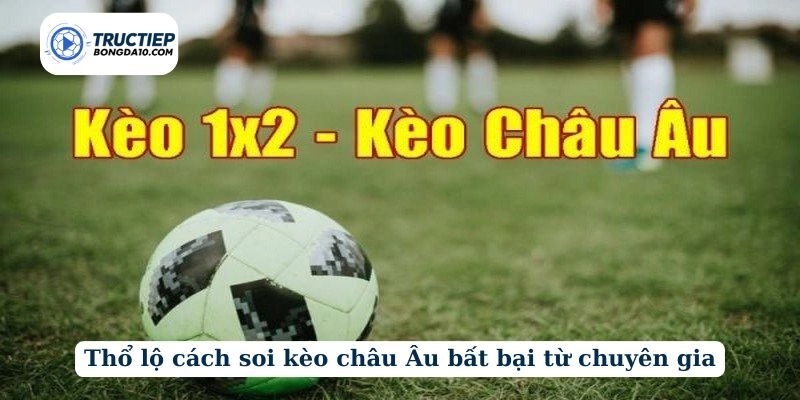 Thổ lộ cách soi kèo châu Âu bất bại từ chuyên gia