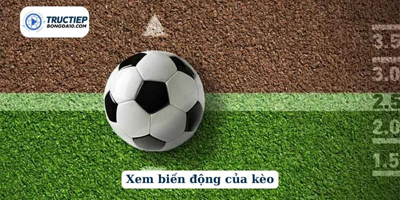 Xem biến động của kèo