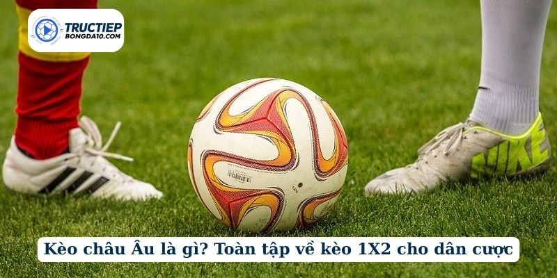 Kèo châu Âu là gì? Toàn tập về kèo 1X2 cho dân cược
