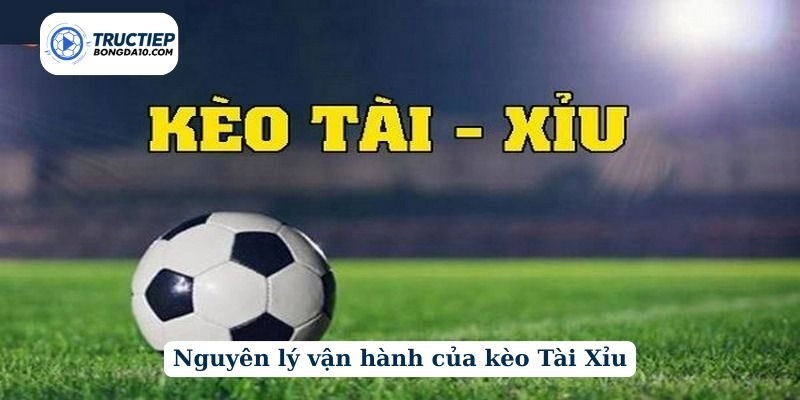 Nguyên lý vận hành của kèo Tài Xỉu
