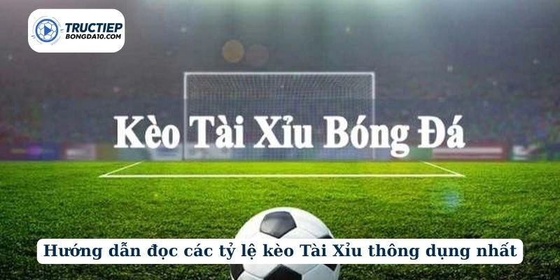 Hướng dẫn đọc các tỷ lệ kèo Tài Xỉu thông dụng nhất