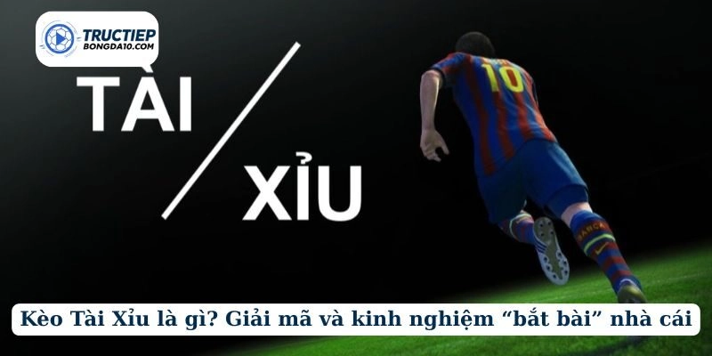 Kèo Tài Xỉu là gì? Giải mã và kinh nghiệm “bắt bài” nhà cái