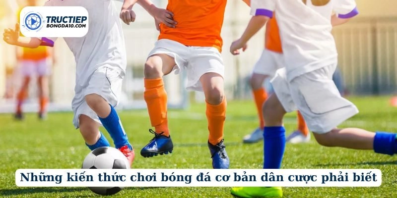 Những kiến thức chơi bóng đá cơ bản dân cược phải biết