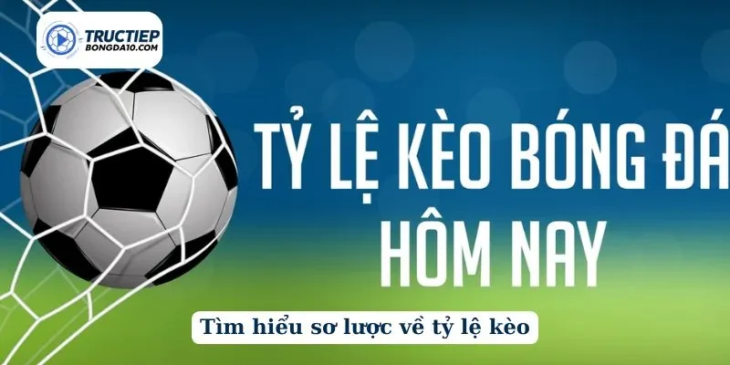 Tìm hiểu sơ lược về tỷ lệ kèo tại trang web